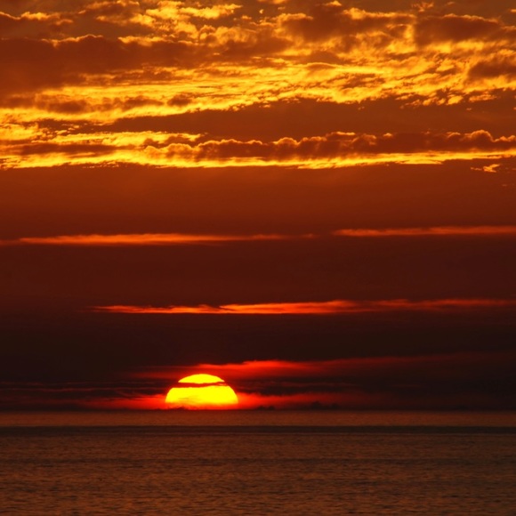 Meet your Posher, Jocelyn - Picture 1 of 1